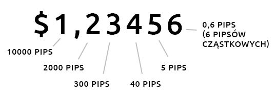 pips i pips cząstkowy opis